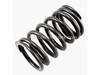 Spring: Intake Valve – Part Number: 235168-S