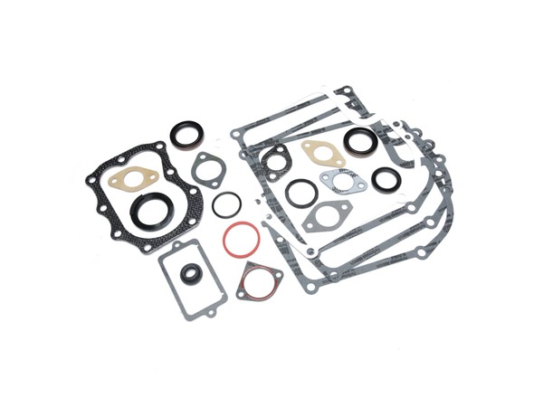 8942883-1-M-Briggs and Stratton-299577-Gasket Set-engine