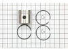 Piston Assembly-std – Part Number: 294676