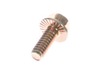 8953859-3-S-Toro-3234-33-Screw-hhf