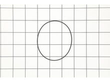 O-Ring – Part Number: 35450