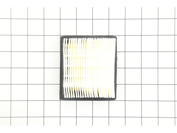 8955462-1-M-Tecumseh-36046-Air Cleaner Filter