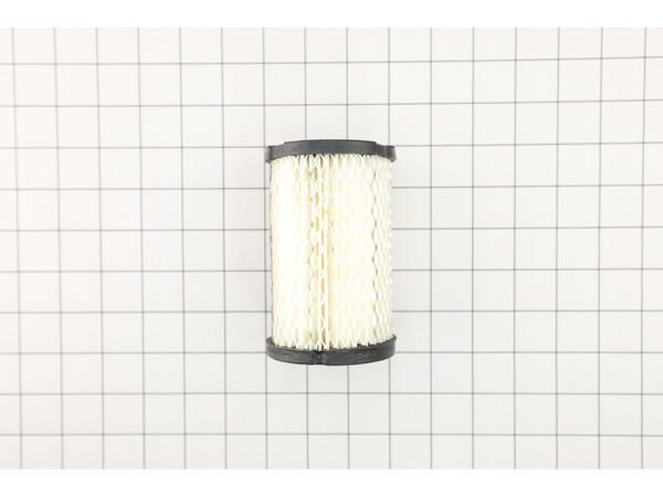 8955882-1-M-Tecumseh-34700B-Air Filter
