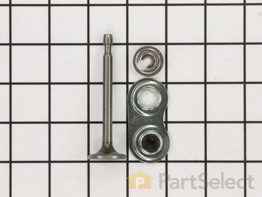 8958020-1-M-Tecumseh-37289-Valve-Intake