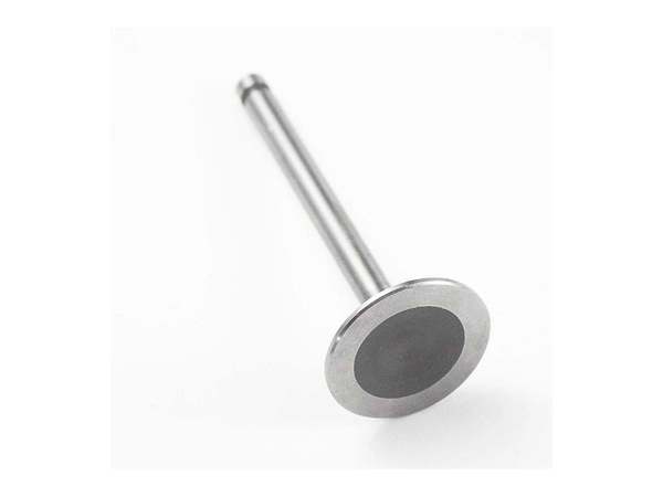 8959732-1-M-Tecumseh-35309-Intake Valve
