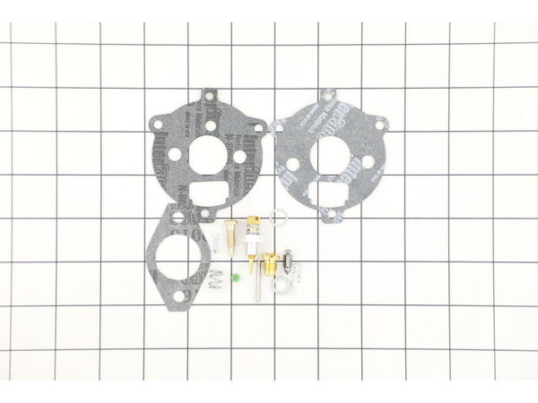 8960042-1-M-Briggs and Stratton-394693-Kit-carb Overhaul