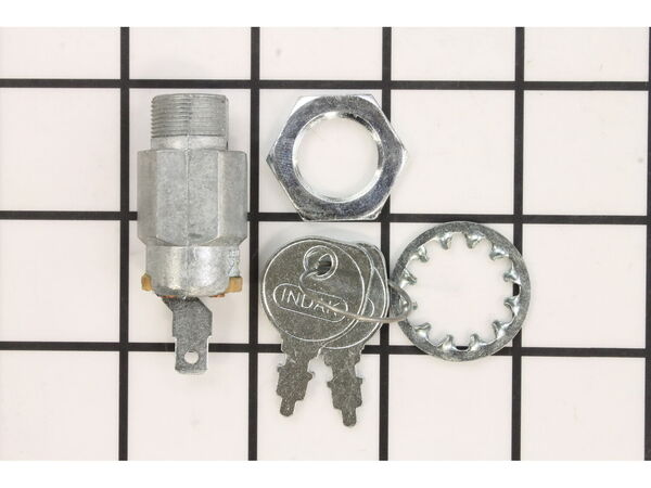 8960418-1-M-Briggs and Stratton-392833-Switch-Key