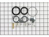 8960554-2-S-Briggs and Stratton-394698-Kit-carb Overhaul