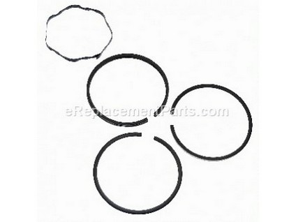8961664-1-M-Briggs and Stratton-391656-Ring Set-010