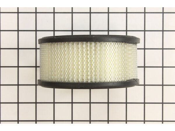 8962354-1-M-Briggs and Stratton-392286-Filter-a/c Cartridge