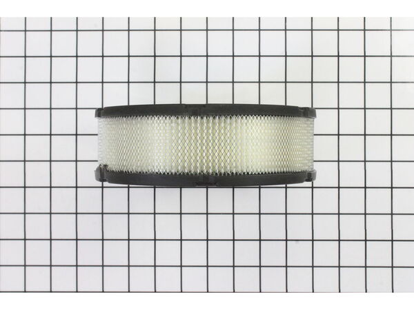 8962593-1-M-Briggs and Stratton-394018S-Filter-a/c Cartridge
