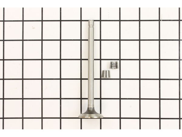 8962705-1-M-Briggs and Stratton-394434-Valve-Intake