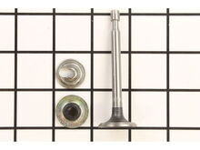 Valve-Intake (Std) – Part Number: 37711