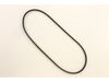 Belt-22rb Fd Tmcc Fra – Part Number: 37X116MA