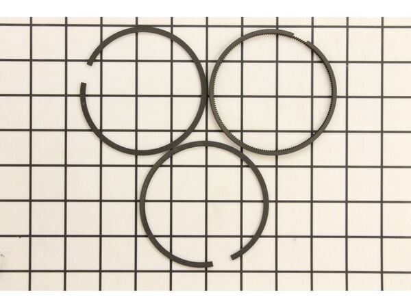 8967582-1-M-Briggs and Stratton-394961-Ring Set-020