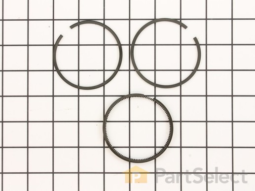 8968259-1-M-Briggs and Stratton-399016-Ring Set-030