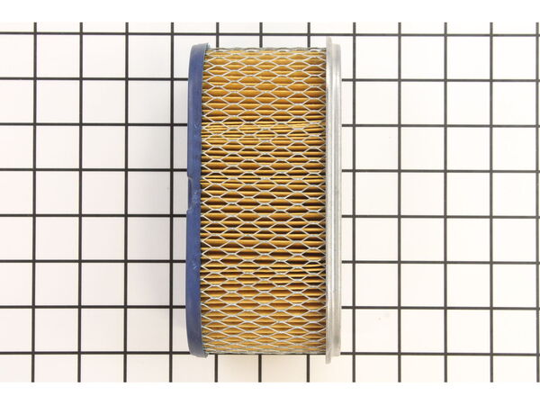 8978713-1-M-Briggs and Stratton-491021-Filter-a/c Cartridge