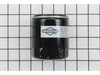 8978720-3-S-Briggs and Stratton-491056-Filter-oil