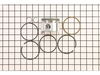 Piston Assy-std – Part Number: 491903