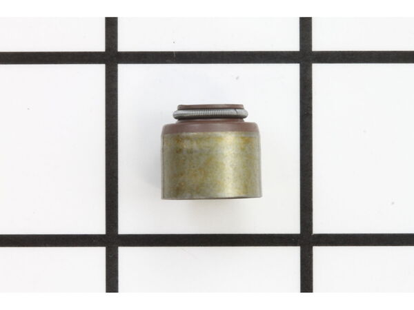 8981078-1-M-Briggs and Stratton-491020-Seal-valve