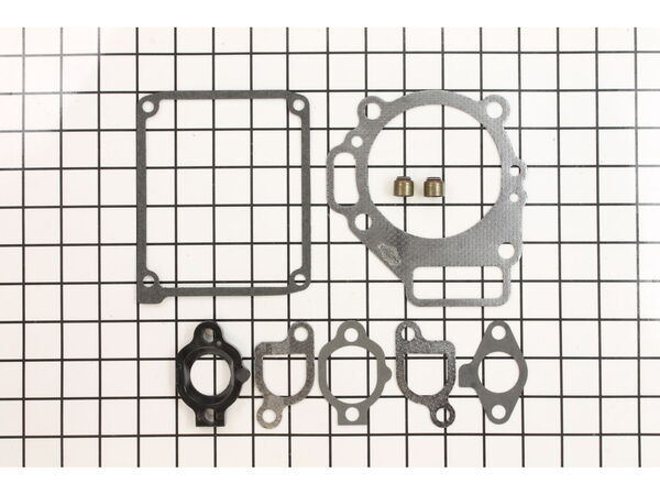 8981246-1-M-Briggs and Stratton-495769-Gasket Set-valve