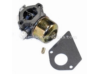 8981247-1-M-Briggs and Stratton-495782-Carburetor
