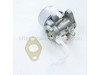 Carburetor – Part Number: 496863