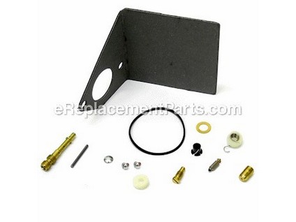 8981294-1-M-Briggs and Stratton-497450-Kit-Carb Overhaul