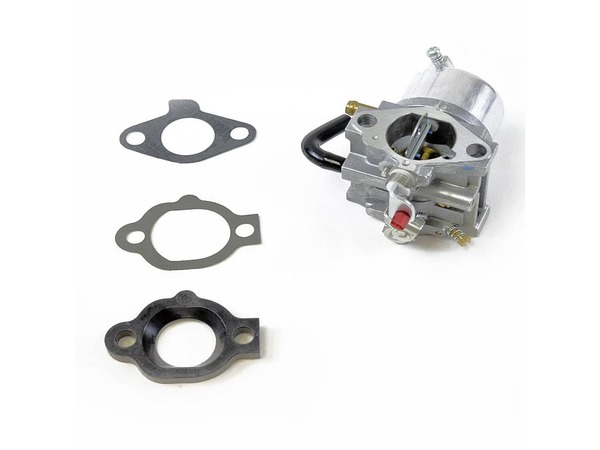 8981684-1-M-Briggs and Stratton-492256-Carburetor