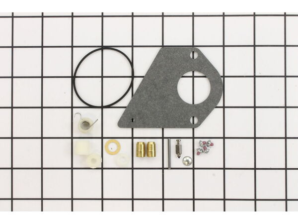 8981776-1-M-Briggs and Stratton-498116-Kit-carb Overhaul
