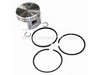 Piston Assembly-std – Part Number: 499180