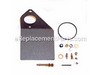 Kit-carb Overhaul – Part Number: 497166