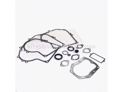 8981873-1-M-Briggs and Stratton-497511-Gasket Set-Engine