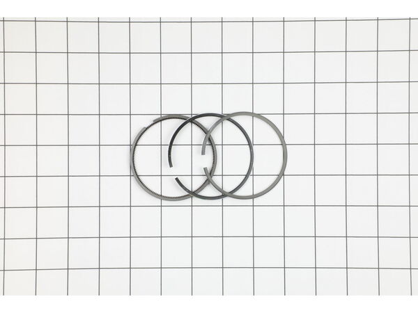 8982177-1-M-Briggs and Stratton-493261-Ring Set-std