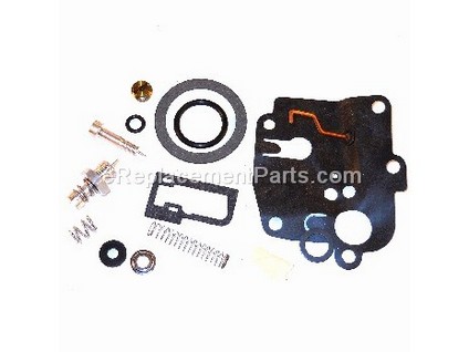 8982219-1-M-Briggs and Stratton-494623-Kit-carb Overhaul