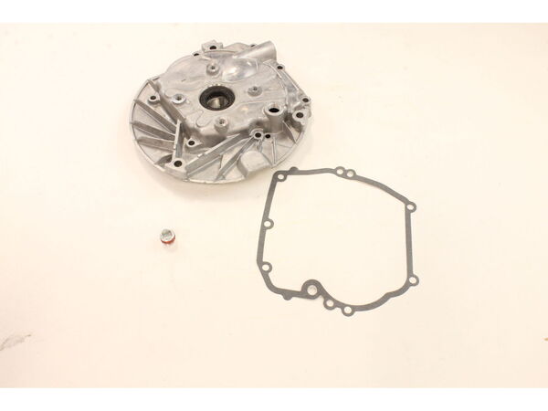 8982399-1-M-Briggs and Stratton-498983-Sump-engine