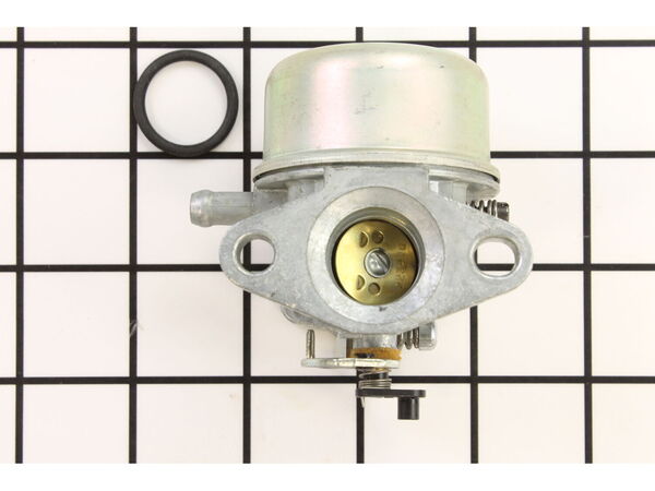 8982660-1-M-Briggs and Stratton-492544-Carburetor