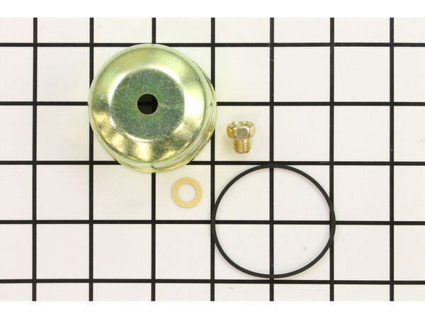8983295-1-M-Briggs and Stratton-495933-Engine Float Bowl