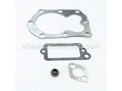 8983353-1-M-Briggs and Stratton-498526-Gasket Set-Valve