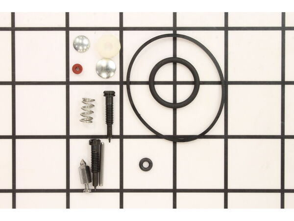 8983443-1-M-Briggs and Stratton-494349-Kit-carb Overhaul