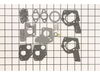 Carburetor Rebuild Kit – Part Number: 495606