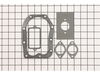 Gasket Set-Valve – Part Number: 498540