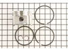 Piston Assembly-std – Part Number: 498584
