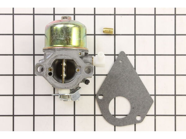 8984030-1-M-Briggs and Stratton-495778-Carburetor