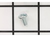 Screw – Part Number: 501466901