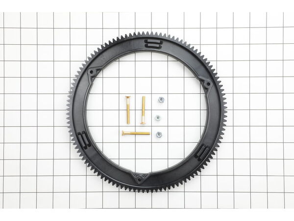 8984461-1-M-Briggs and Stratton-499612-Gear-ring