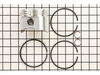 Piston Assembly-std – Part Number: 499284