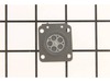 Diaphragm – Part Number: 502079001
