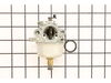 Carburetor – Part Number: 491002
