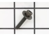 Screw – Part Number: 503217725